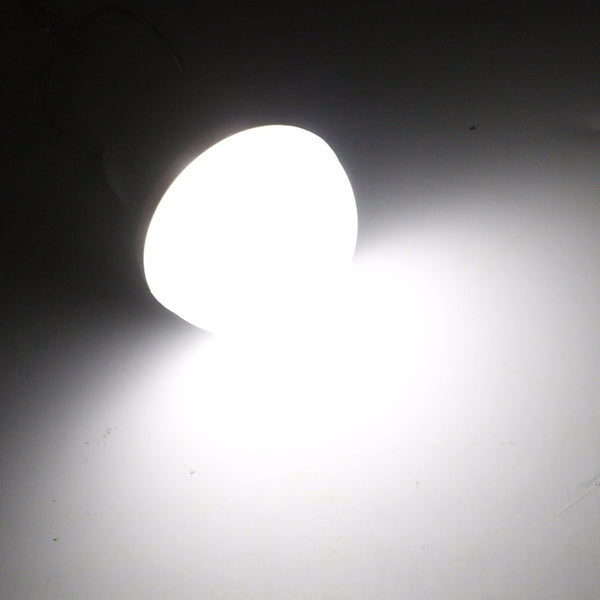 Portable Solar Light