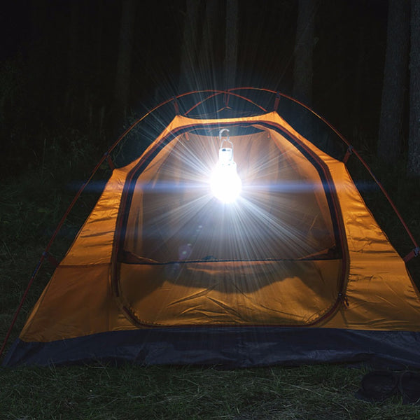 Portable Solar Light
