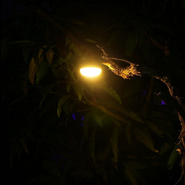 Mini Outdoor Lantern