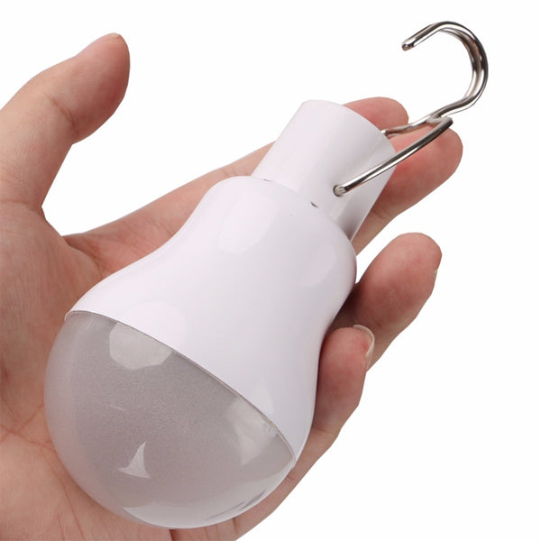 Portable Solar Light