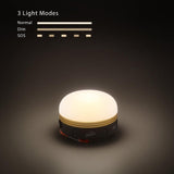 Mini Outdoor Lantern